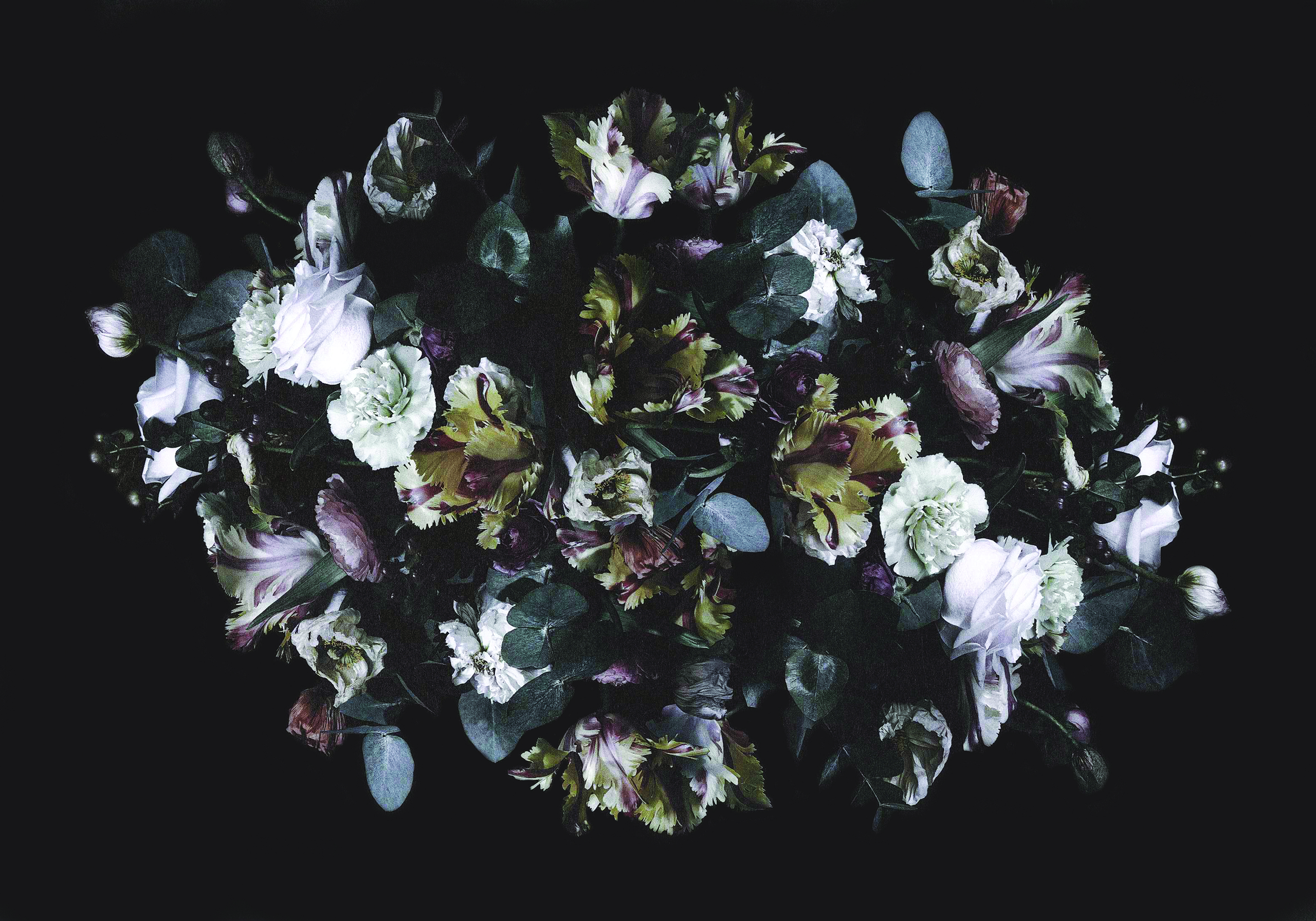 THE RUG COMPANY MCQUEEN