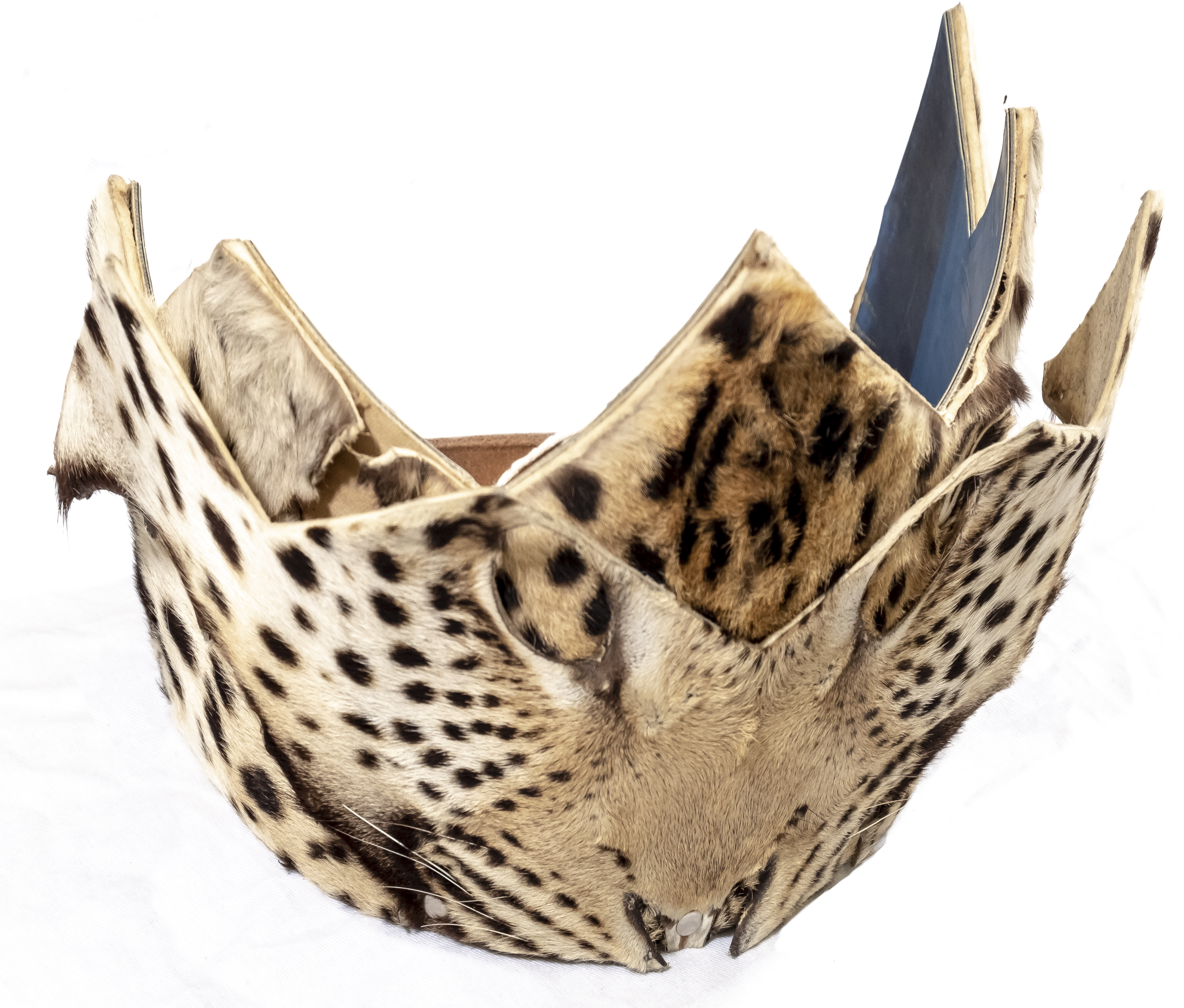 Zone 2 - Ceremonial Leopard-skin Headdress (2)