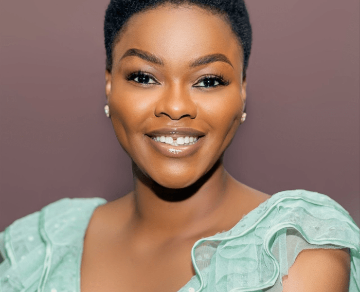 Bankole joins cast of Anna Hibiscus